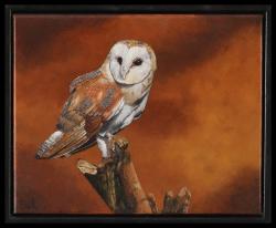 Erik-pater-uil-02